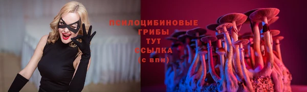 дживик Алексин