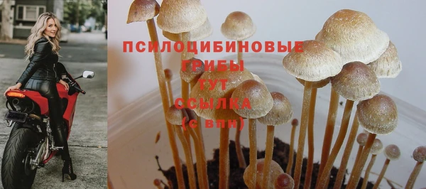 гашик Алзамай