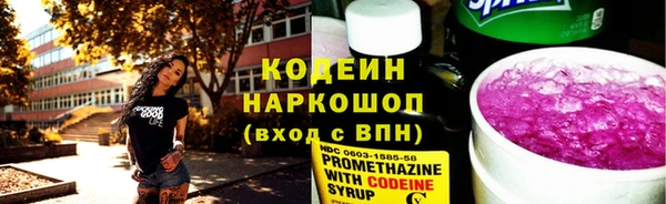 гашик Алзамай